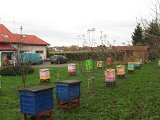 Pasieka na posesji